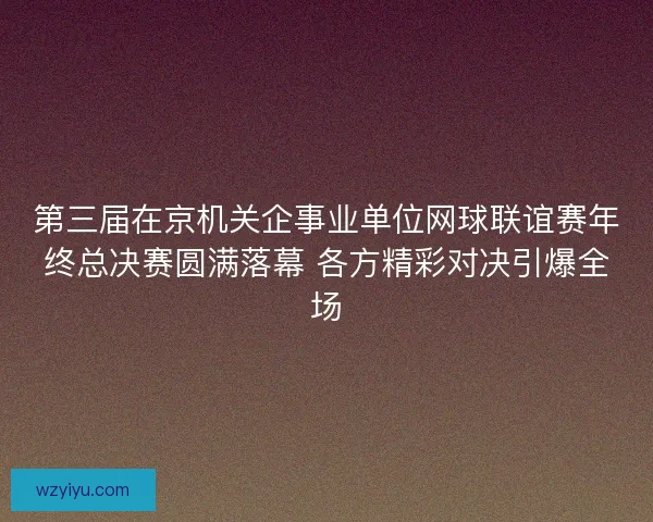 第三届在京机关企事业单位网球联谊赛年终总决赛圆满落幕 各方精彩对决引爆全场